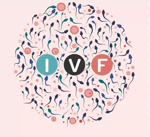 IVF & Fertility Treatment