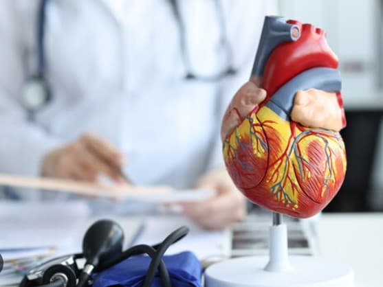 Heart Specialist
