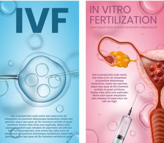 IVF Laboratory Center