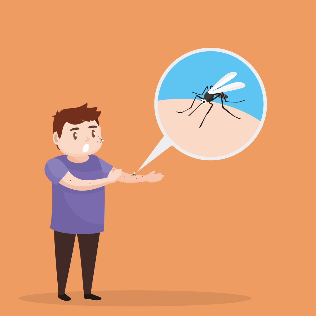 Chikungunya Treatment